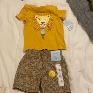 Cat and jack lion outfit